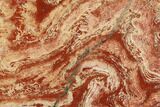 Polished Snakeskin Jasper Slab - Western Australia #132898-1